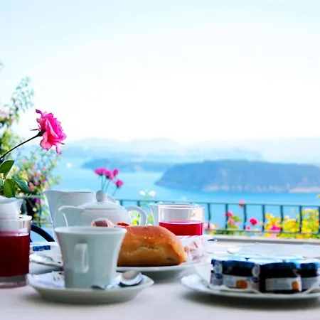 La Pergola Del Torchio 4* イスキア島