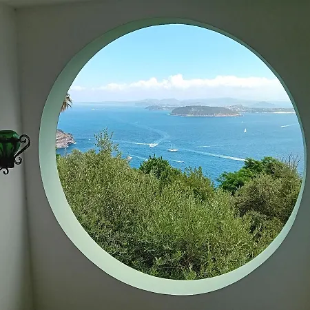 ベッド・アンド・ブレックファスト La Pergola Del Torchio イスキア島