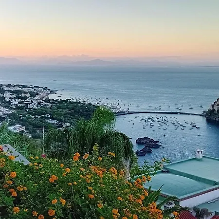 La Pergola Del Torchio イスキア島