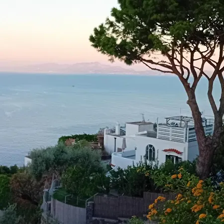Bed and Breakfast La Pergola Del Torchio