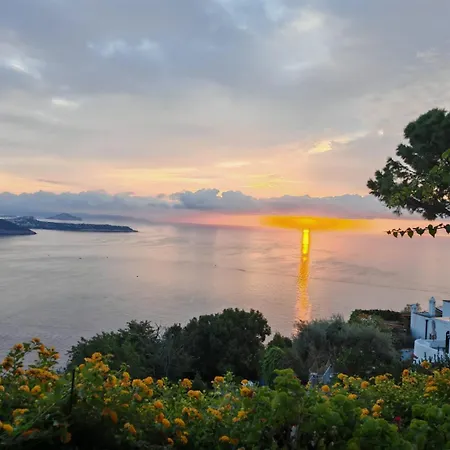 La Pergola Del Torchio