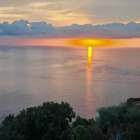 La Pergola Del Torchio Bed & Breakfast